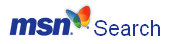 MSN Search engine